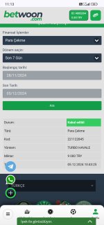 Screenshot_2024-12-05-11-13-03-409_com.android.chrome.jpg