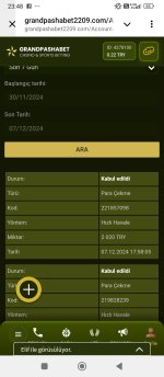 Screenshot_2024-12-07-23-48-03-483_org.telegram.messenger.jpg