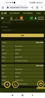 Screenshot_2022-08-05-22-47-50-197_com.android.chrome.jpg