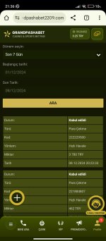 Screenshot_2024-12-08-21-36-07-137_com.android.chrome.jpg