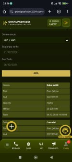 Screenshot_2024-12-08-23-26-38-118_com.android.chrome.jpg