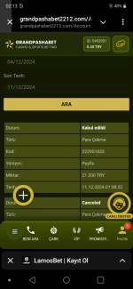 Screenshot_20241211-021302.png