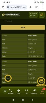 Screenshot_2024-12-12-03-51-08-072_com.google.android.googlequicksearchbox.jpg