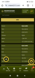 Screenshot_2024-12-14-02-37-06-843_com.android.chrome.jpg