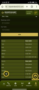 Screenshot_2024-12-14-18-40-35-017_com.android.chrome.jpg