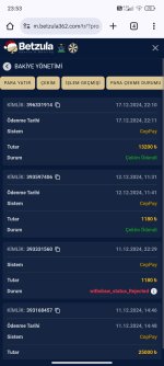 Screenshot_2024-12-17-23-53-06-522_com.android.chrome.jpg