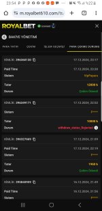 Screenshot_20241217-235435_Chrome.jpg