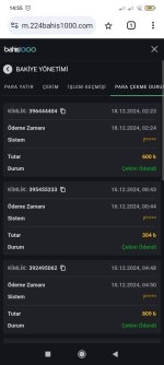 Screenshot_2024-12-18-14-55-07-560_com.android.chrome.jpg