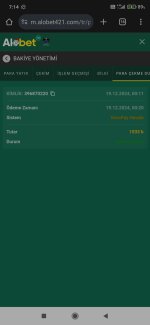 Screenshot_2024-12-19-07-14-47-270_com.android.chrome.jpg