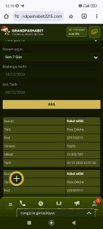 Screenshot_2024-12-20-12-15-02-967_com.android.chrome.jpg