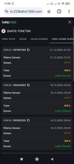 Screenshot_2024-12-21-17-28-54-913_com.android.chrome.jpg