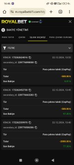 Screenshot_2024-12-22-16-46-04-039_com.android.chrome.jpg