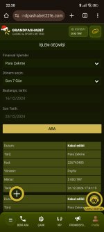 Screenshot_2024-12-23-22-38-00-869_com.android.chrome.jpg