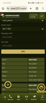 Screenshot_20250105_153705_com_android_chrome_ChromeTabbedActivity.jpg