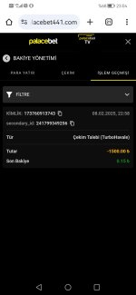 Screenshot_20250208_230457_com.android.chrome.jpg