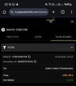 Screenshot_20250319_221608_Chrome.jpg