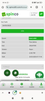 Screenshot_2025-03-24-19-14-44-340_com.android.chrome.jpg