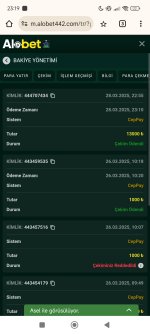 Screenshot_2025-03-28-23-19-12-130_com.android.chrome.jpg