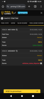 Screenshot_20250329-163419.png
