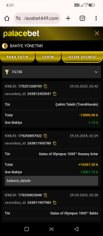 Screenshot_20250329-043125.png