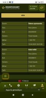 Screenshot_2025-04-19-18-50-08-122_com.android.chrome.jpg