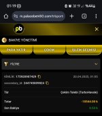 Screenshot_20250420_011924_Chrome.jpg