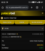 Screenshot_20250521-022245.png
