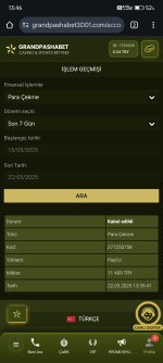 Screenshot_2025-05-22-13-46-41-175_com.android.chrome.jpg