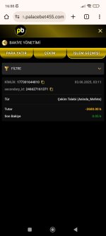 Screenshot_2025-06-03-16-00-13-881_com.android.chrome.jpg
