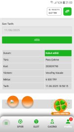 Screenshot_20250611-210350_Chrome.jpg