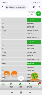 Screenshot_2025-06-11-23-35-06-016_com.android.chrome.jpg