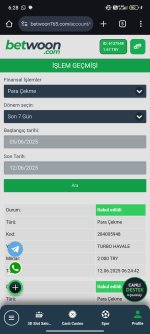Screenshot_2025-06-12-06-28-24-832_com.android.chrome.jpg