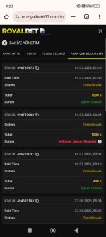 Screenshot_2025-07-01-04-23-09-192_com.android.chrome.jpg