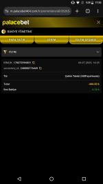 Screenshot_20250706-172100.png