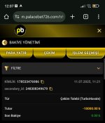 Screenshot_2025-07-11-12-07-53-885_com.android.chrome-edit.jpg