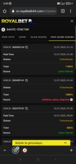 Screenshot_2025-07-12-03-45-14-476_com.android.chrome.jpg