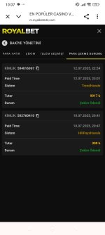 Screenshot_2025-07-13-10-07-54-151_com.android.chrome.jpg