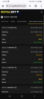 Screenshot_20250727_025333_Chrome.jpg