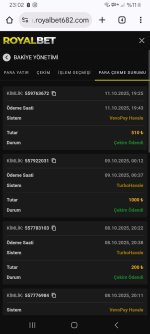 Screenshot_20251012_230249_Chrome.jpg