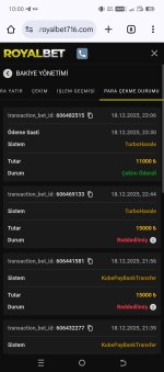 Screenshot_20251219-100040.jpg