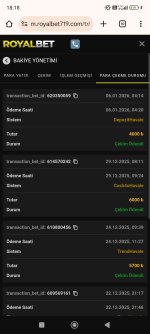 Screenshot_2026-01-06-18-18-34-504_com.android.chrome.jpg