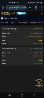 Screenshot_20260107-113049_Chrome.jpg