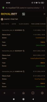 Screenshot_2026-01-11-22-20-45-082_com.opera.browser.jpg