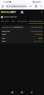 Screenshot_2026-01-18-11-56-35-317_com.android.chrome.jpg