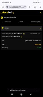 Screenshot_2026-01-30-01-43-36-344_com.android.chrome.jpg