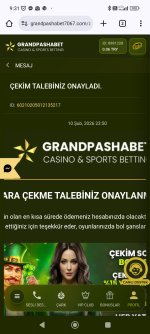 Screenshot_2026-02-11-09-31-18-389_com.android.chrome.jpg