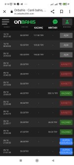 Screenshot_2022-10-10-00-14-17-974_com.android.chrome.jpg