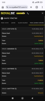 Screenshot_2026-03-16-03-03-04-446_com.android.chrome.jpg
