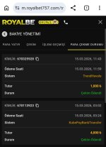 Screenshot_2026-03-16-08-04-20-445_com.android.chrome~2.jpg