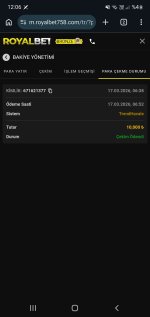 Screenshot_20260317-120607_Chrome.jpg